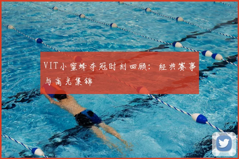 VIT小蜜蜂夺冠时刻回顾:经典赛事与高光集锦