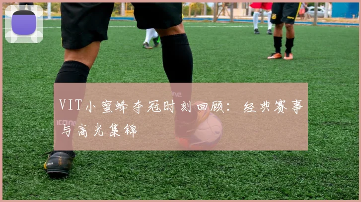 VIT小蜜蜂夺冠时刻回顾：经典赛事与高光集锦